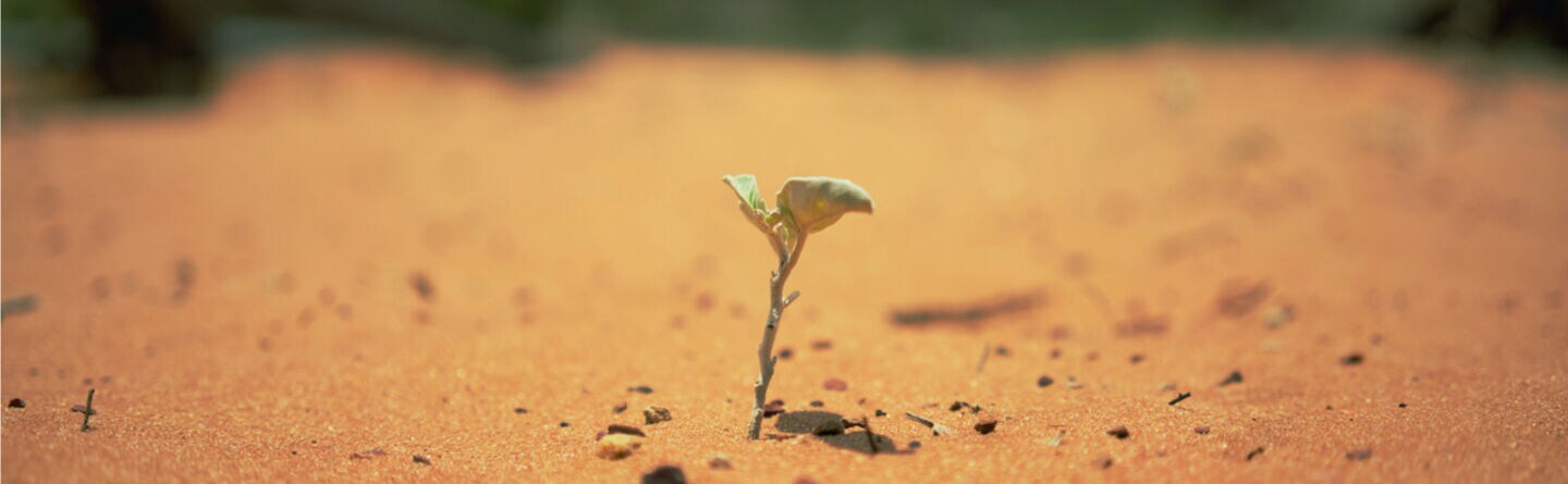 Se din frygt i &oslash;jnene og udlev dit potentiale i 6 nemme trin