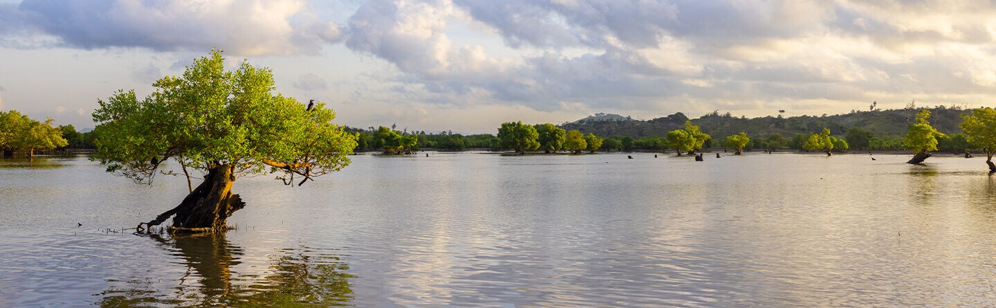  This is what we support if you choose for our refills