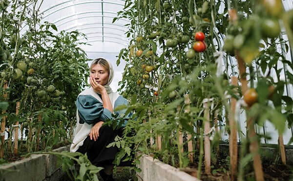 Dachg&auml;rten: Geheime Oasen, die der Welt Gutes tut