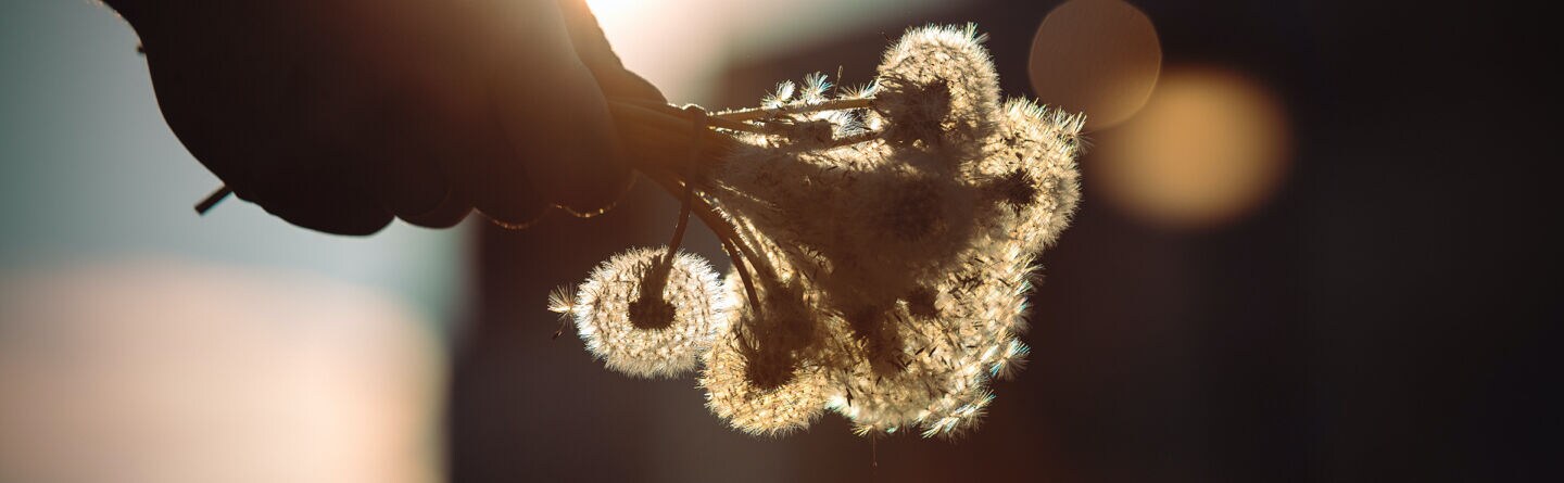 Een simpele tip om gelukkig te leven in het nu 